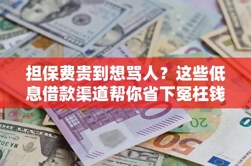 济南担保费贵到想骂人？这些低息借款渠道帮你省下冤枉钱