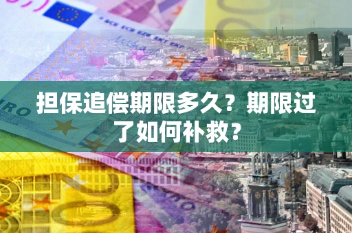 济南担保追偿期限多久？期限过了如何补救？