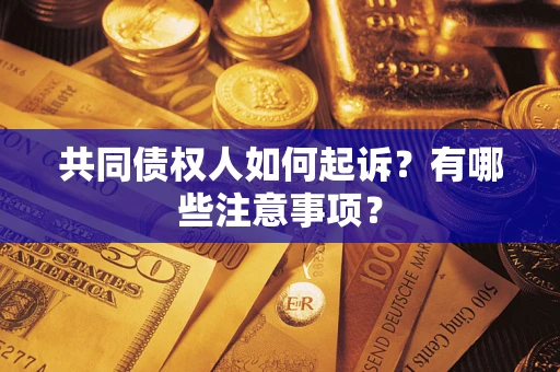 济南共同债权人如何起诉？有哪些注意事项？